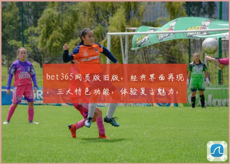 bet365网页版旧版，经典界面再现，三大特色功能，体验复古魅力，不容错过