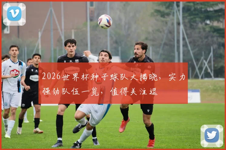 2026世界杯种子球队大揭晓，实力强劲队伍一览，值得关注逗